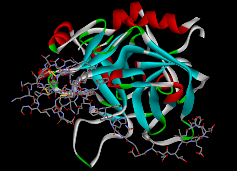水蛭素可以溶血栓吗？