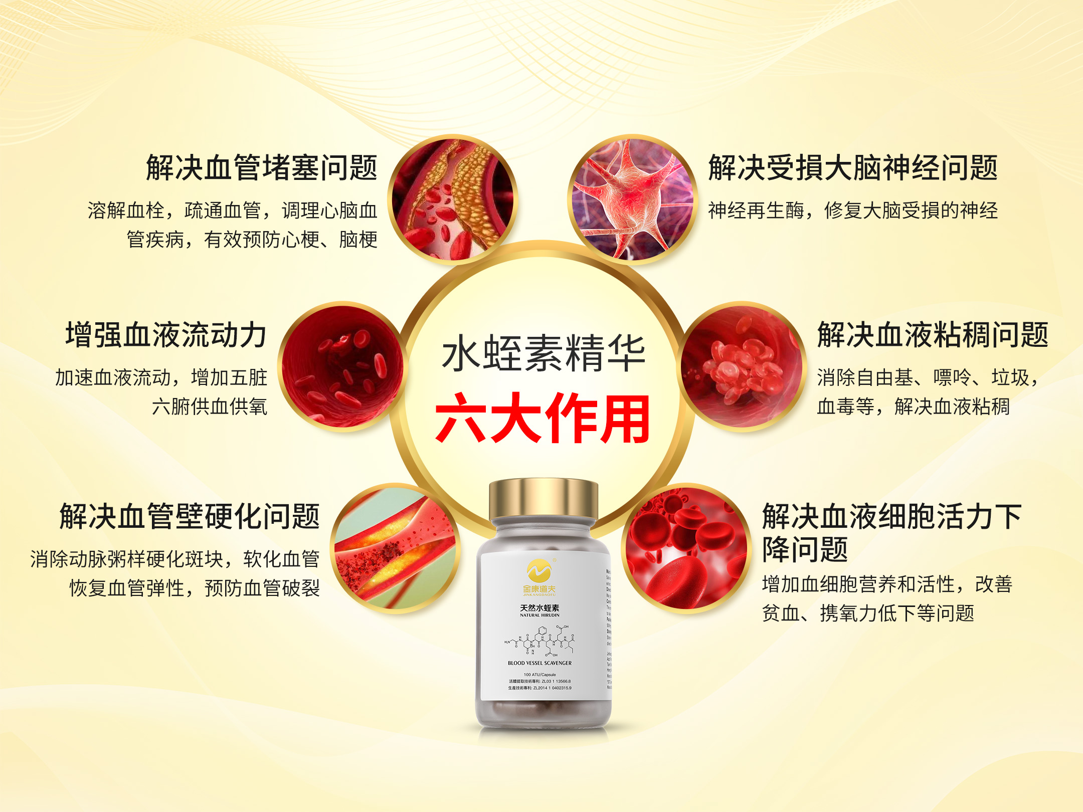 天然水蛭素的功能与作用是什么