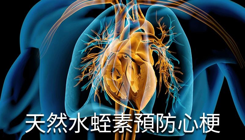 帮助拆除血管「炸弹」，金康道夫让天下人血管畅通健康长寿！