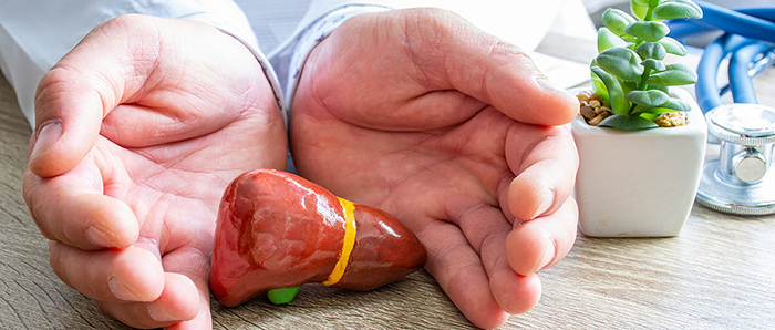 千库网_胃肠病学的保护、治疗、预防和赞助保健在肝病健康中的作用，病理学概念照片。 医生手放在桌子上，双手环绕着肝脏_摄影图编号20146638.jpg